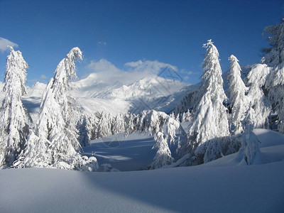 大雪过后的迷人风景图片