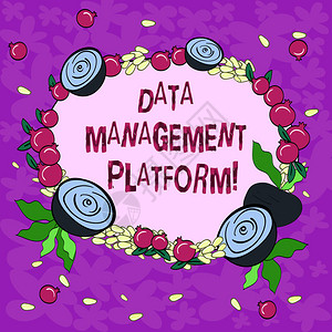 显示数据管理平台的概念手写商业照片展示收集数据的集中技术平台类型花环由小种子小背景图片