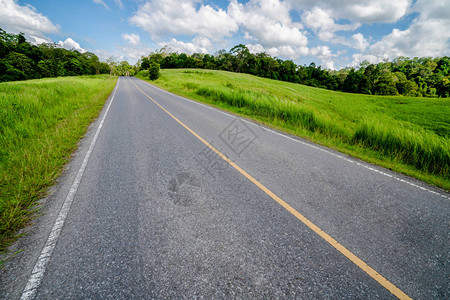 山上公路图片