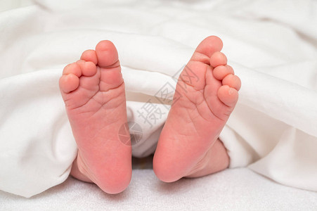 新生婴儿脚在白图片
