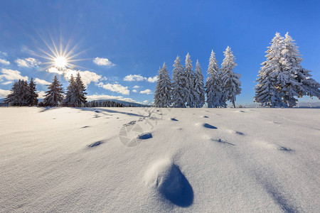 罗马尼亚Bucegi山冬季的1图片