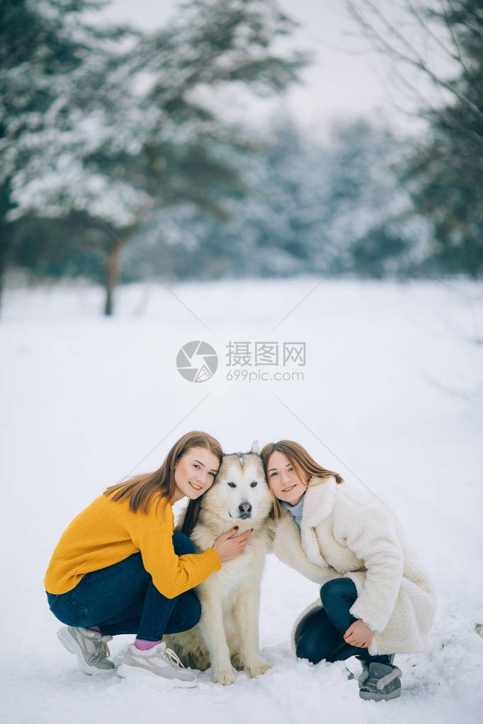 两个女孩在寒冬与一只狗阿拉斯加马纳穆特一图片