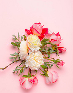 粉红色背景上的节日花英式玫瑰组成图片