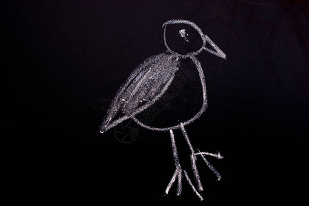 黑板上用粉笔画的鸟背景图片