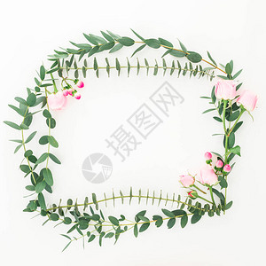 粉红玫瑰花的边和白色背景上的叶树枝平图片