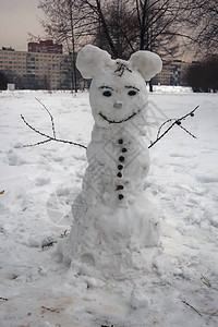 在雪霜寒冷的冬天公园里图片