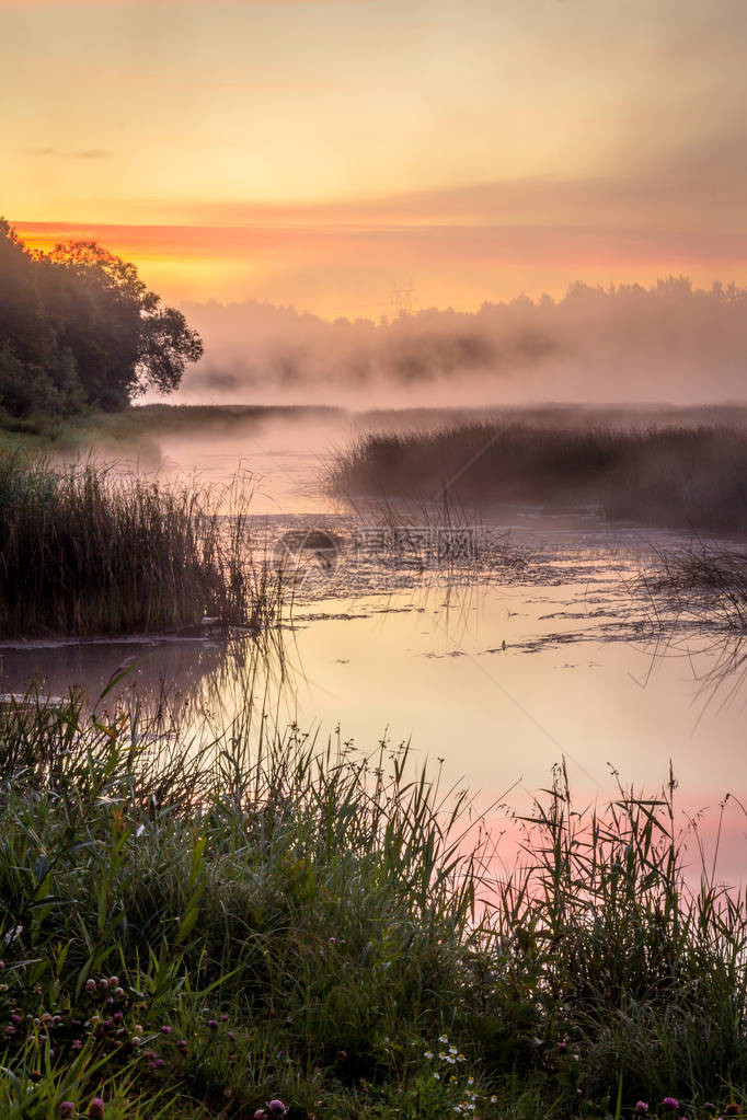 清晨在河上日出风景摄影美丽图片