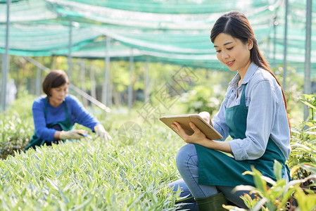 年轻女农民坐在绿色植物附近图片