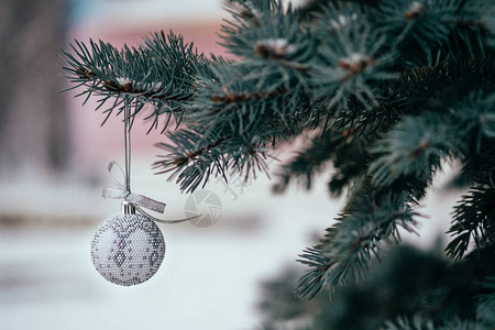 Fir树枝上的银白圣诞背景图片