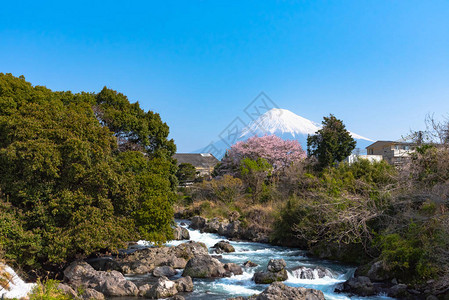 富士山与浦川河的景图片