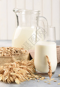 素食的概念燕麦牛奶在玻璃杯里有燕麦牛奶和燕麦和燕麦耳图片