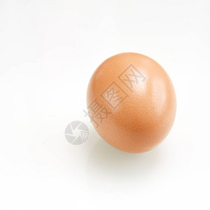 一个棕色的鸡蛋图片