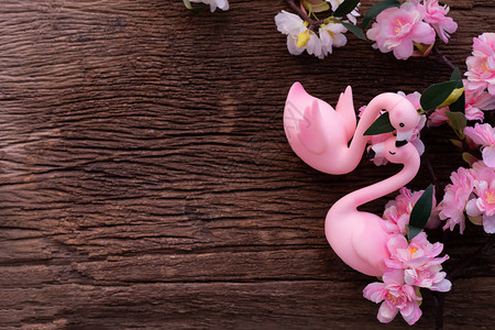 爱着粉红樱花的火烈鸟情侣在木板图片