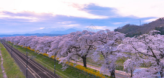 日本宫城县船冈城公园山背景的JR东北火车铁轨图片