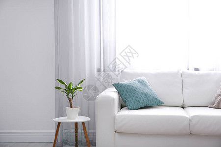 具有舒适沙发的现代室内客厅内装图片