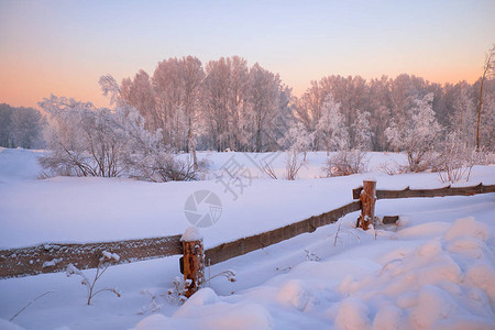 西伯利亚乡村冬季风景农村黎明前额木梁栅栏和树丛上布满了本图片
