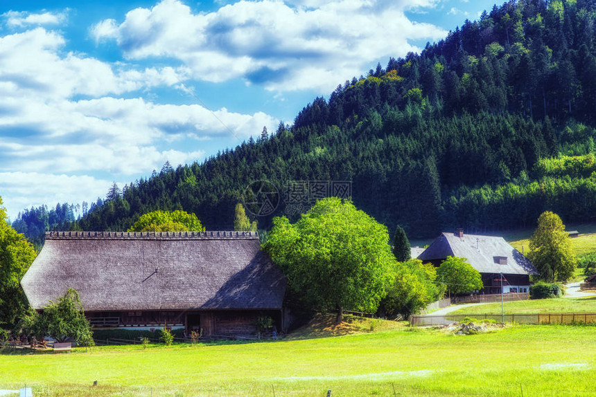 夏季德国南部传统的黑森林农场图片