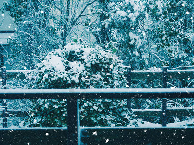 雪落在户外的乡村房子栏杆图片