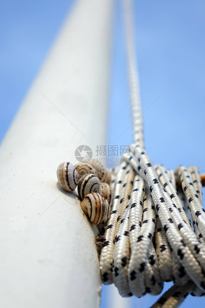 桅杆上的蛤蜊游艇桅杆和索具图片