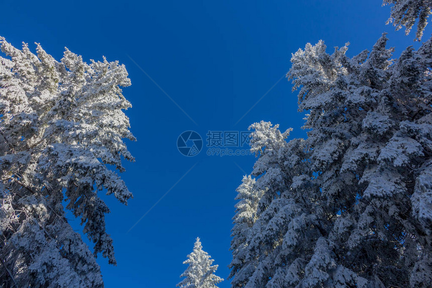 在图林根森林的冬魔图片