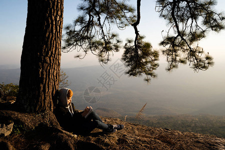 女人坐在松树下读写看着美丽的自然景色的图片