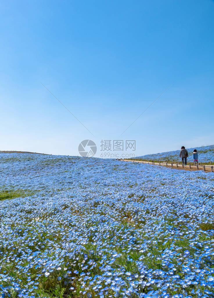 日本自然景点图片