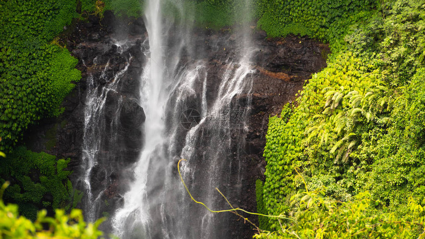 绿色雨林中的瀑布山林中的热带瀑布印度尼西亚巴厘图片