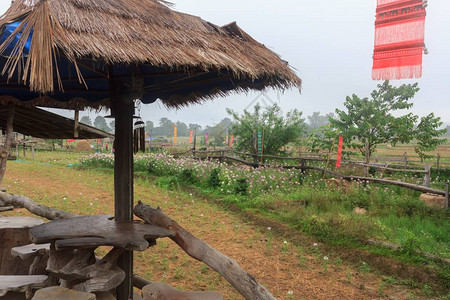 泰国乡村的美丽风景图片