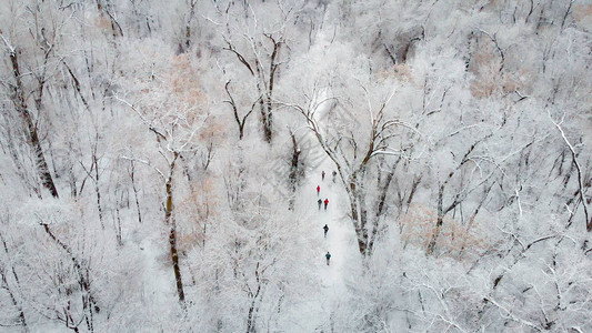 冬季体育比赛在公园里跑步图片