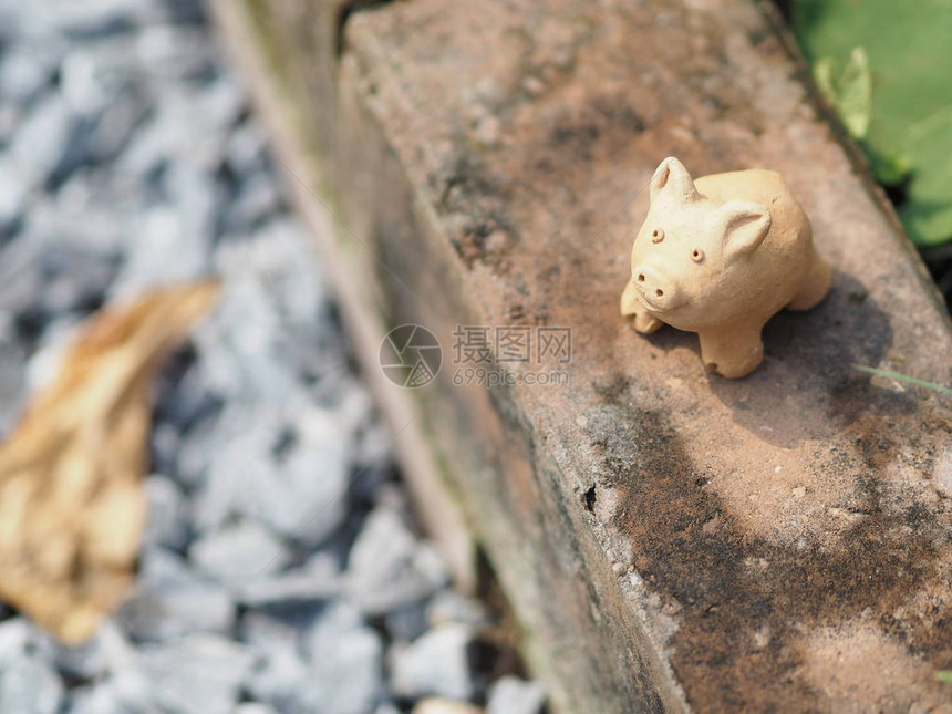 砖瓦陶瓷土器陶瓷空间上的猪Terrecotta图片