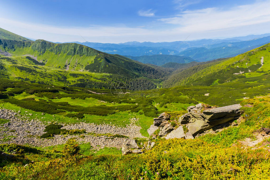 绿色山谷夏天风景图片