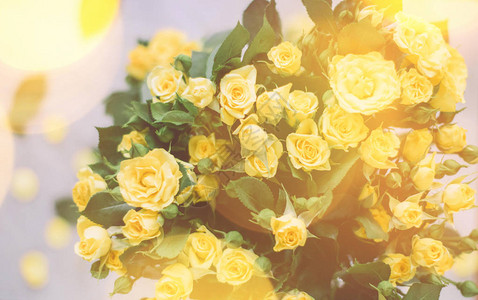 阳光下的黄玫瑰花束春天母亲节和图片