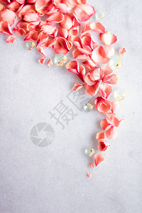 大理石上的珊瑚玫瑰花瓣图片