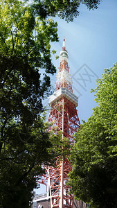 日本东京塔的美景图片