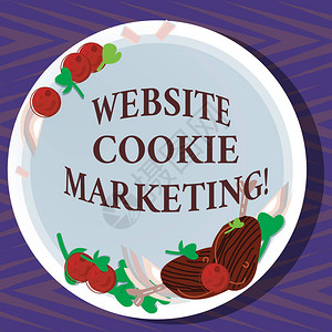 网站CookieMarketing供网页用户参考和洞见的商业概念图片