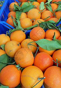 许多有机橙子水果盒里有叶子的有机橙子图片