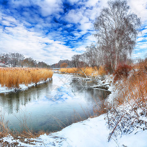 河流和树木被雪覆盖的风景图片