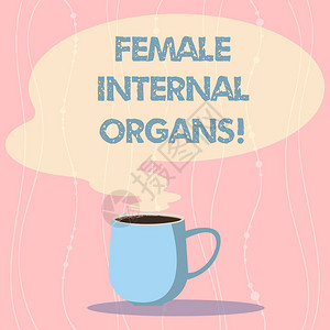 Mug相片热咖啡杯的内生殖器结构的商业概念图片