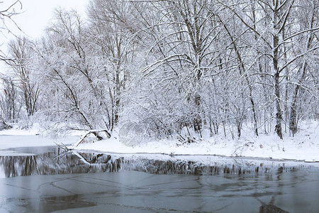 河边的冬季景观图片