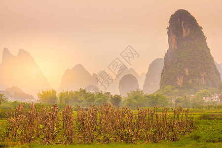 典型的风景在阳朔桂林图片