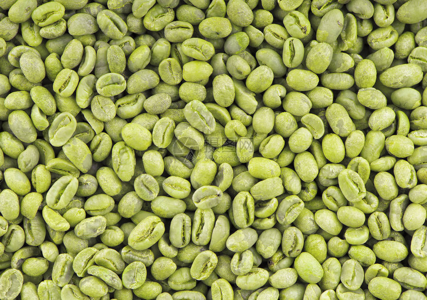 绿色咖啡豆背景中等绿色豌豆咖啡豆图片