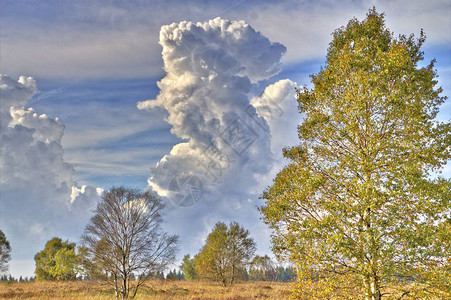 在广阔的景观上的积雨云图片