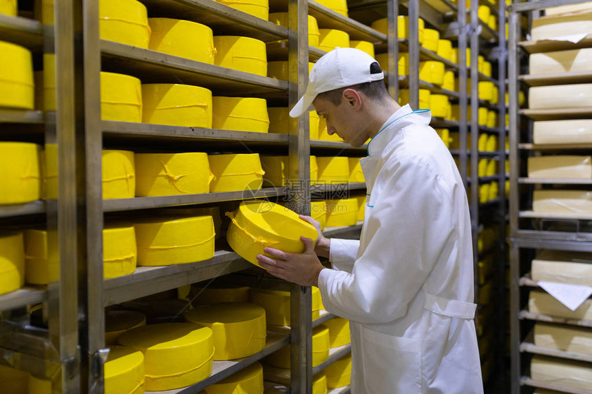 身着白色长袍手里拿着黄色奶酪头的技术人员正在生产黄油和奶酪的商店里图片