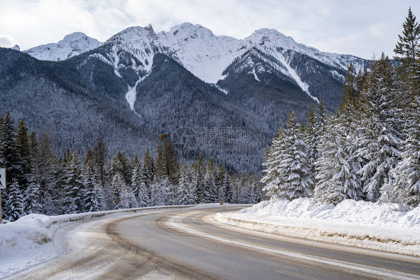 不列颠哥伦比亚省93号高速公路沿线Kootenay公园的冬图片