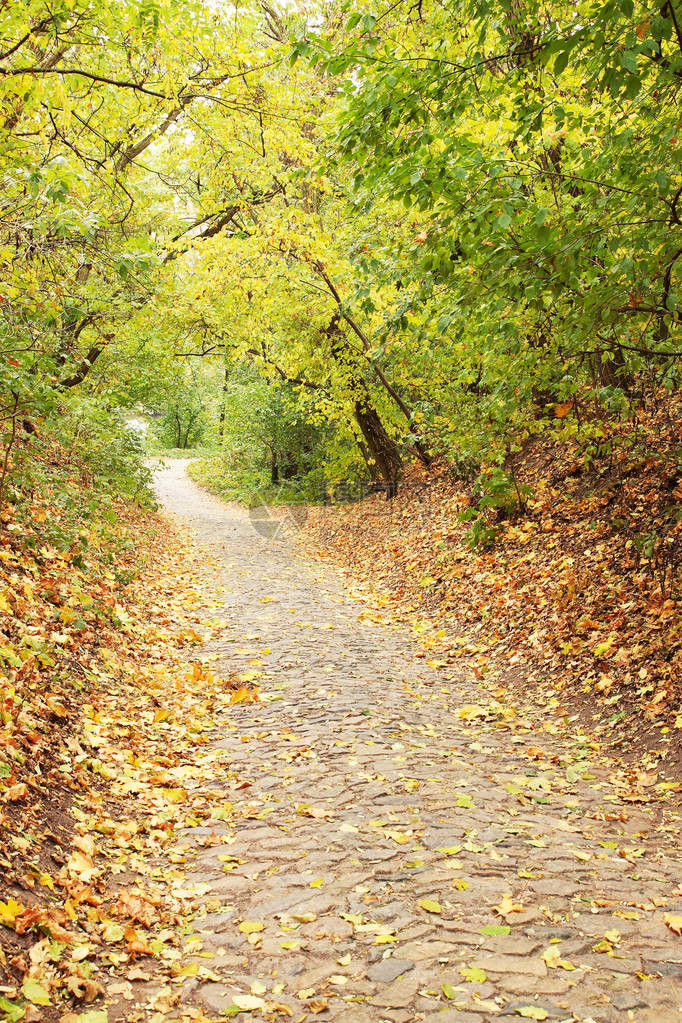 秋季公园石块小巷图片