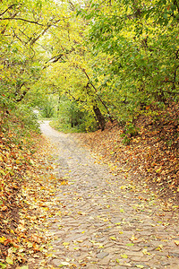 秋季公园石块小巷图片