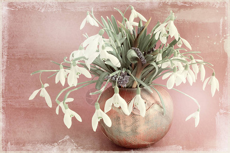 花瓶旧纸中的莲Galanthusnivalis花束图片