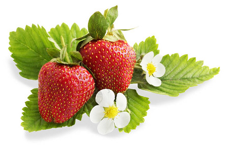成熟的草莓有叶子和鲜图片