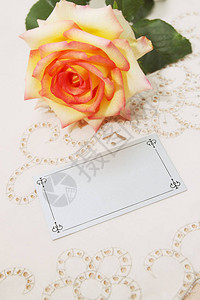 仍然一朵玫瑰和一张空白卡片背景图片