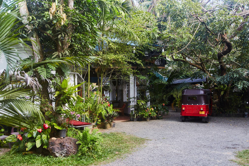 斯里兰卡热带别墅的庭院Tuktuk出租车院子里的HammockHik图片